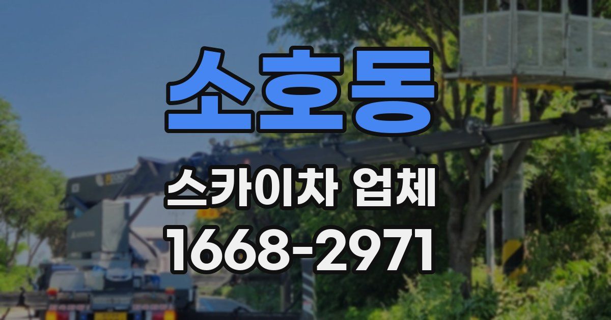 소호동 스카이차 업체