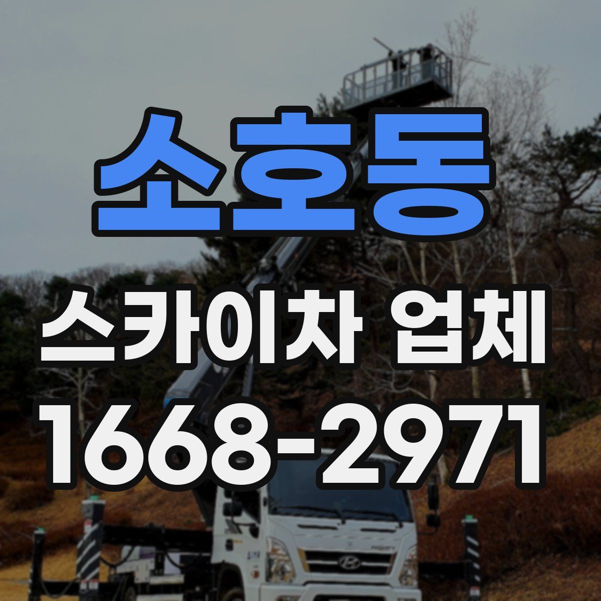 소호동 스카이차 업체