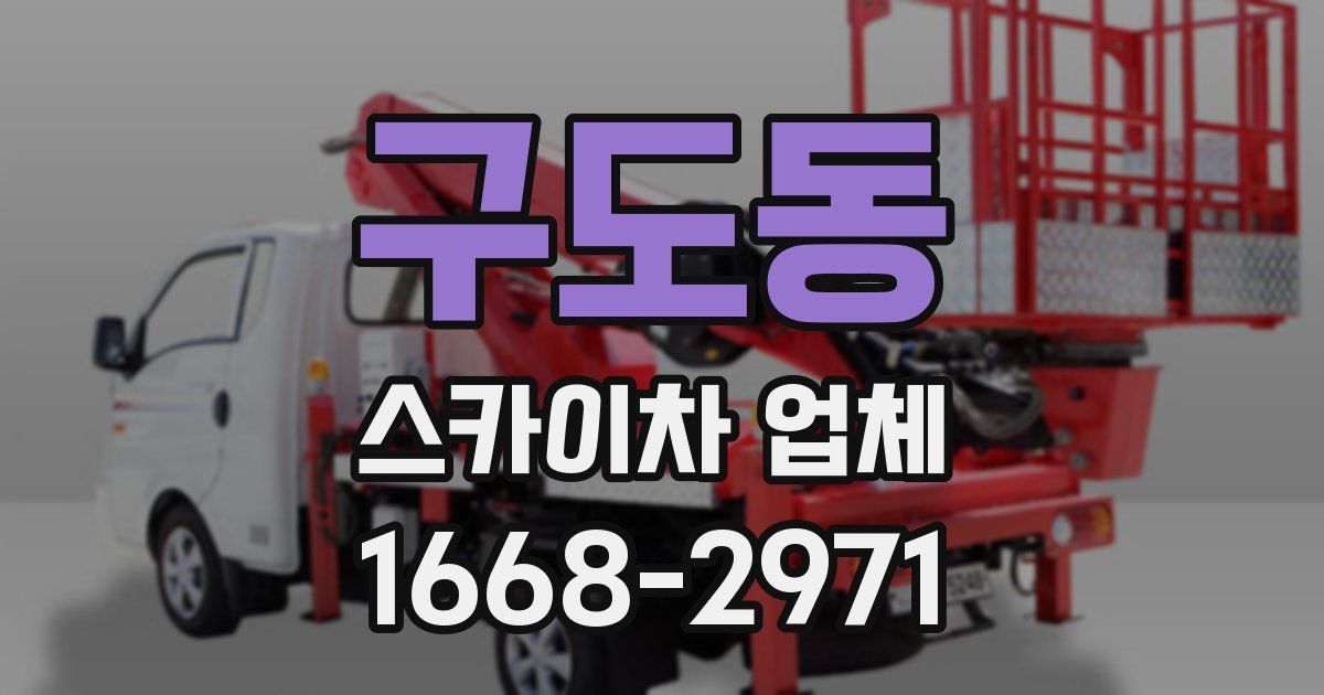 구도동 스카이차 업체
