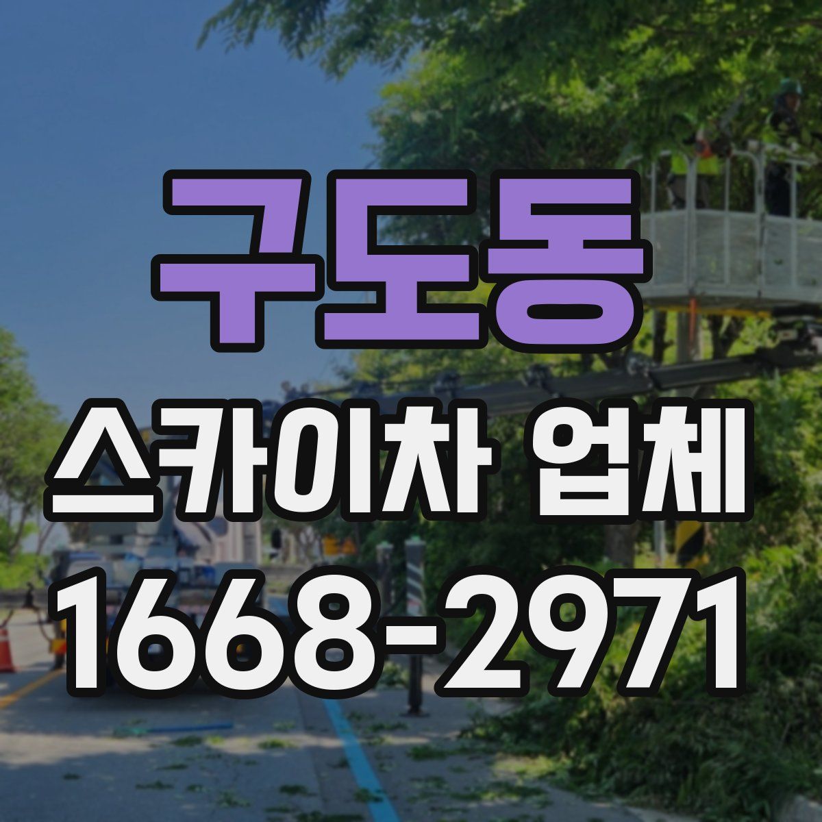 구도동 스카이차 업체
