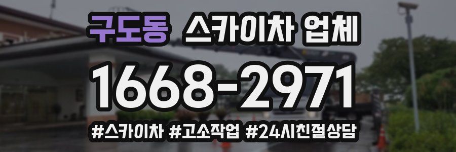 구도동 스카이차 업체