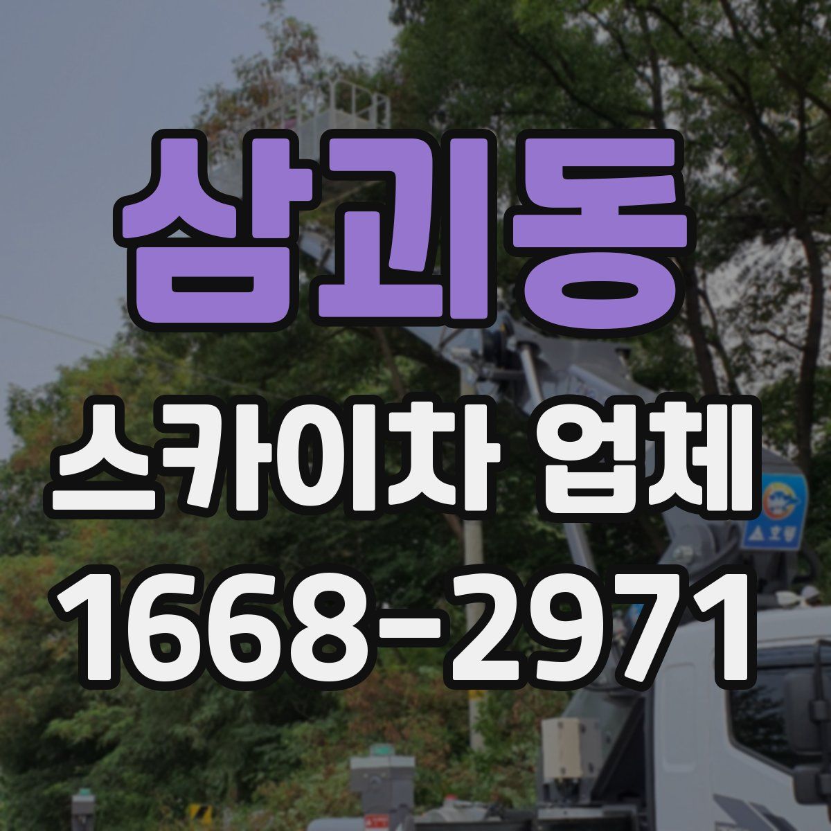 삼괴동 스카이차 업체