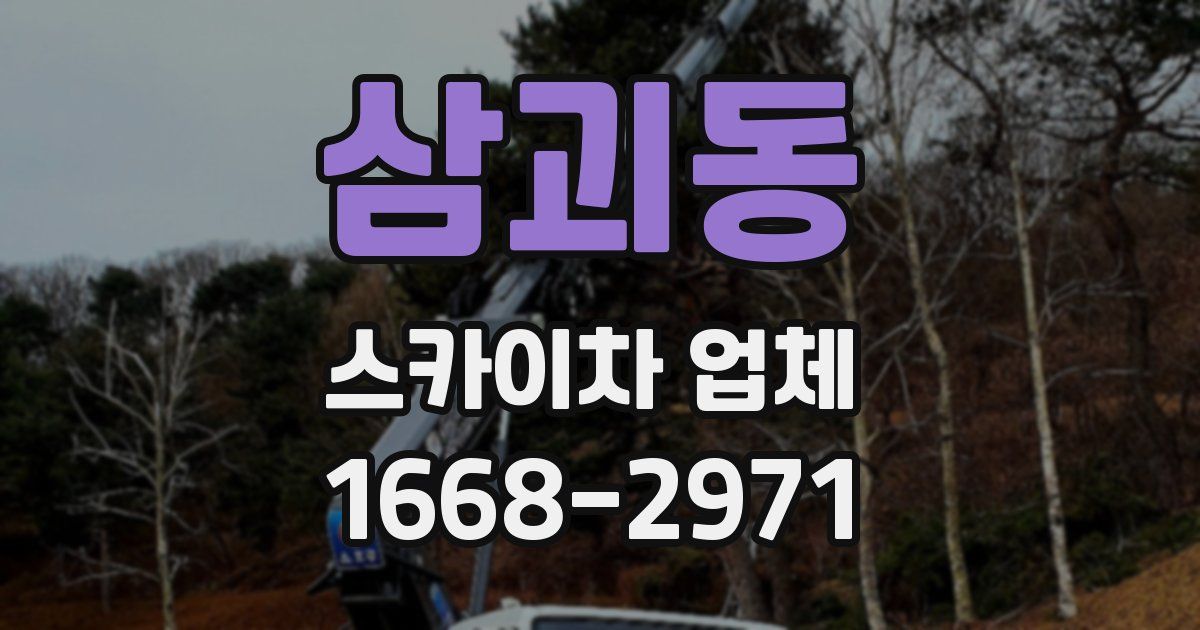 삼괴동 스카이차 업체
