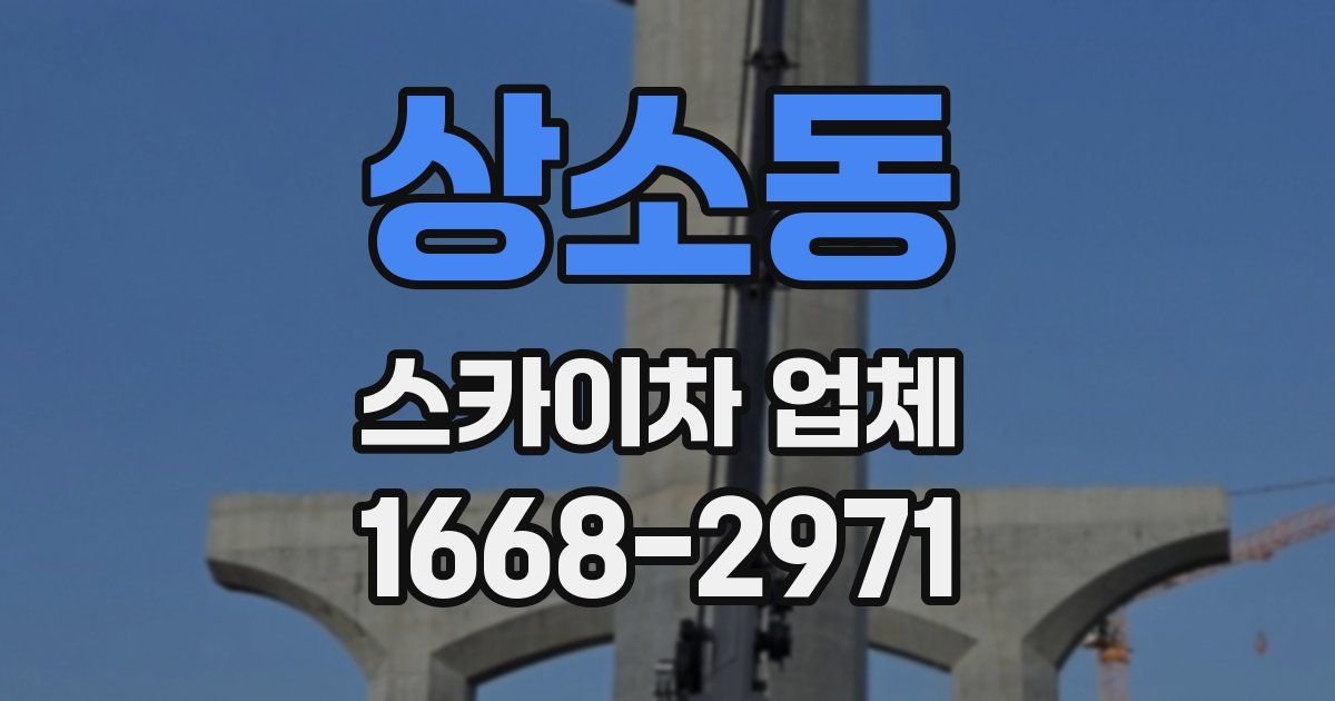 상소동 스카이차 업체