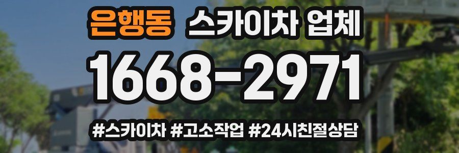 은행동 스카이차 업체