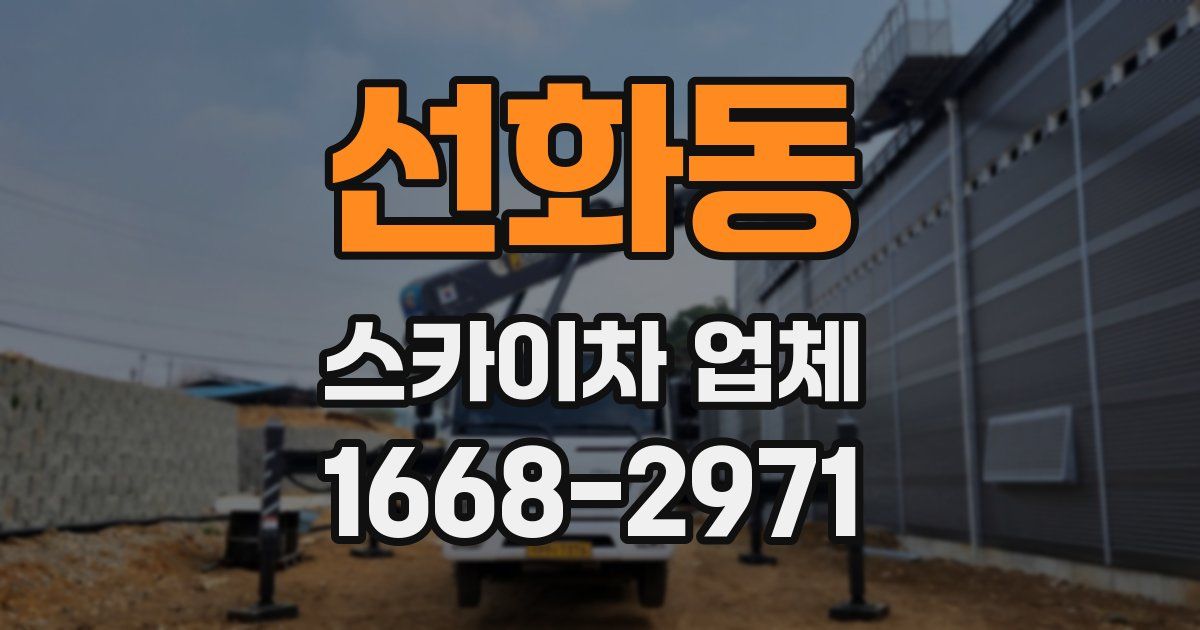 선화동 스카이차 업체