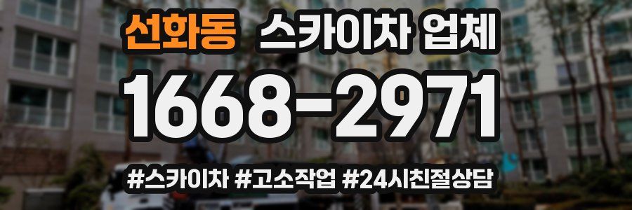 선화동 스카이차 업체