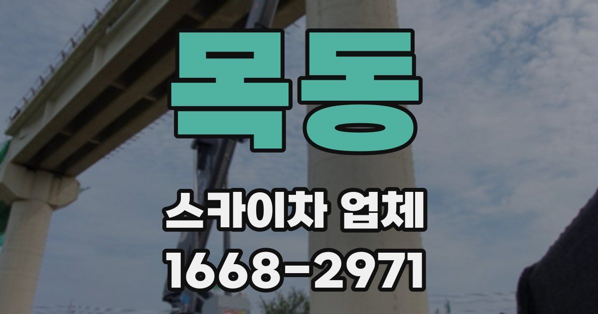목동 스카이차 업체
