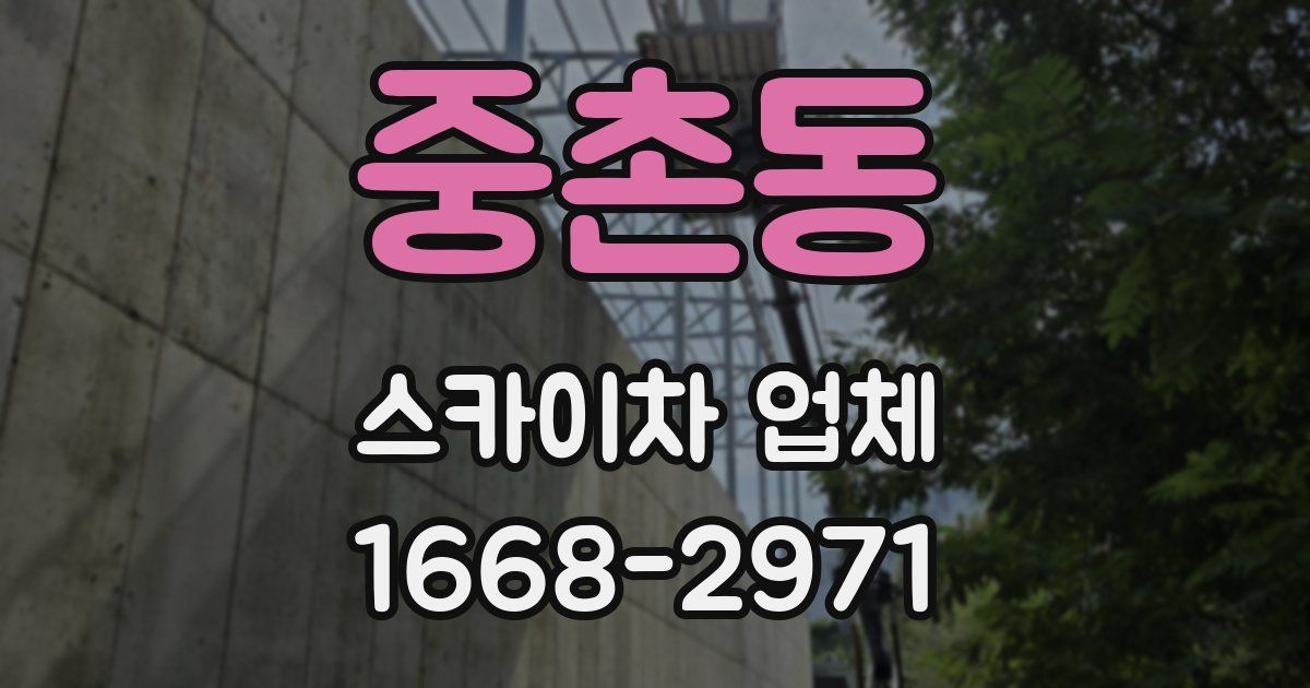 중촌동 스카이차 업체