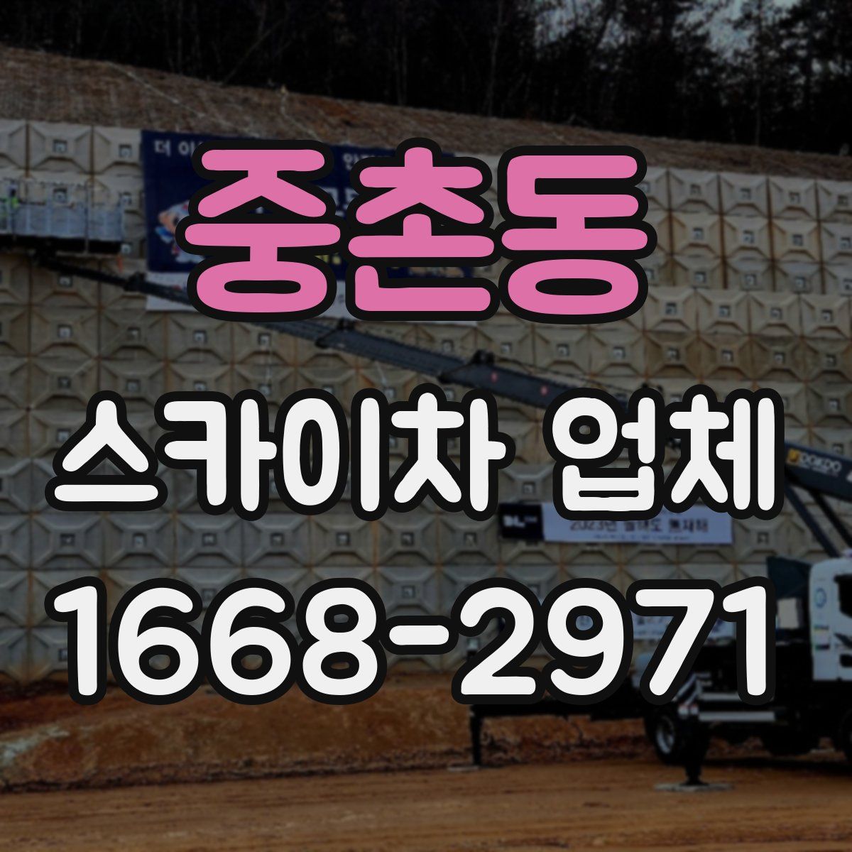 중촌동 스카이차 업체