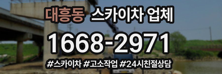 대흥동 스카이차 업체
