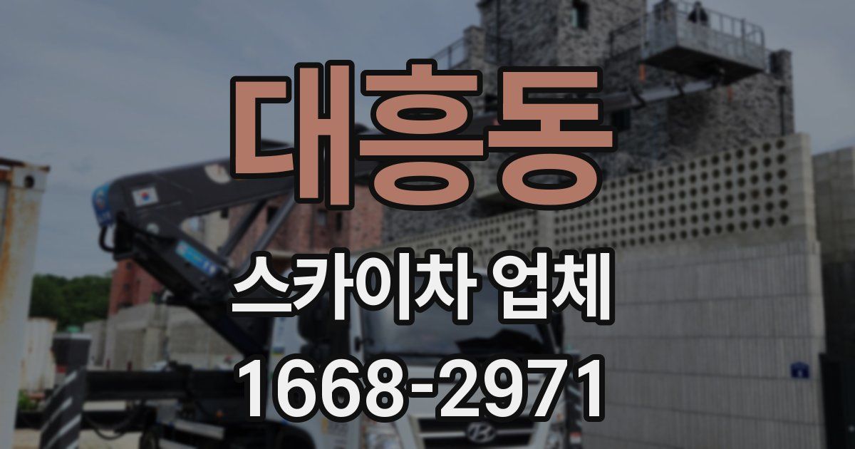대흥동 스카이차 업체