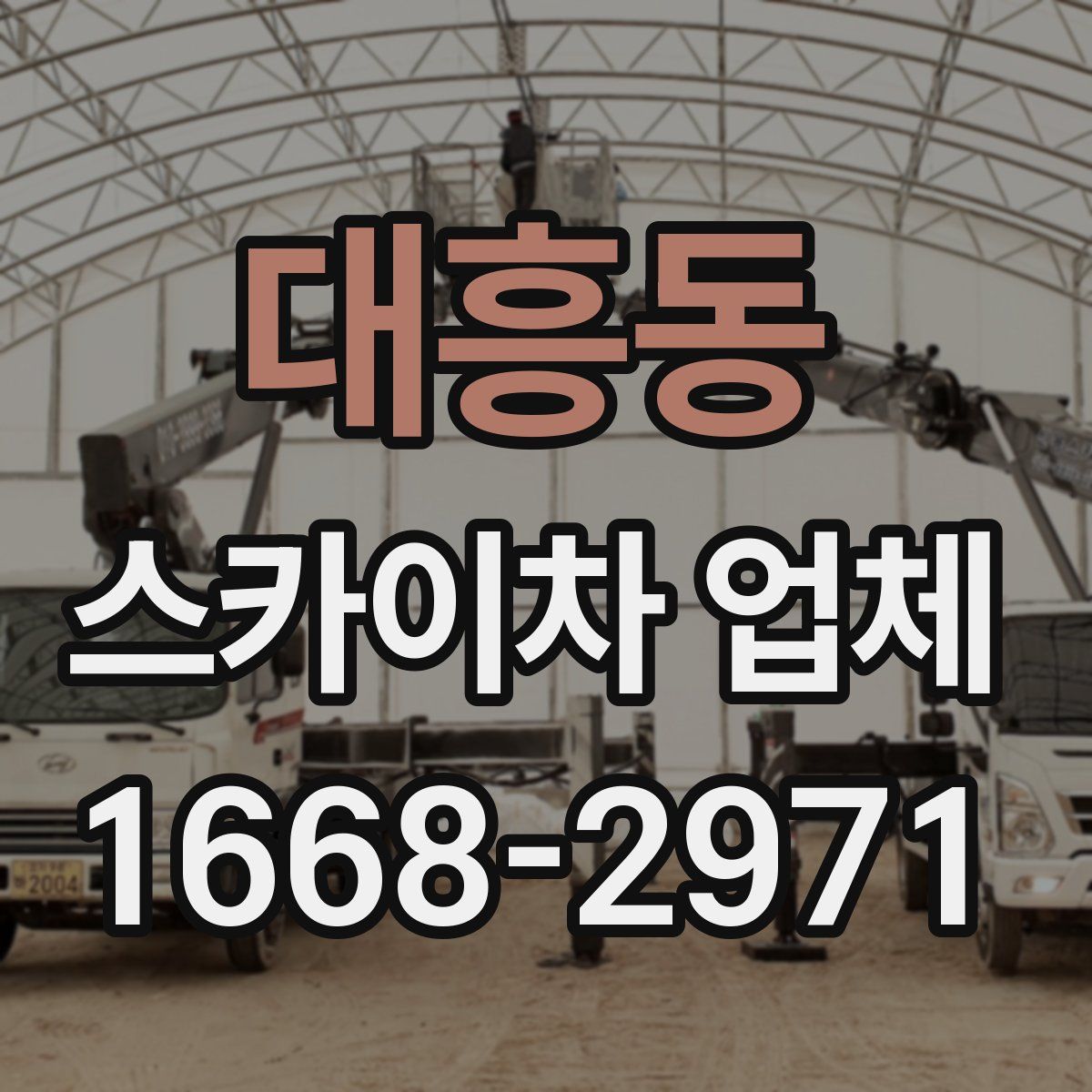 대흥동 스카이차 업체