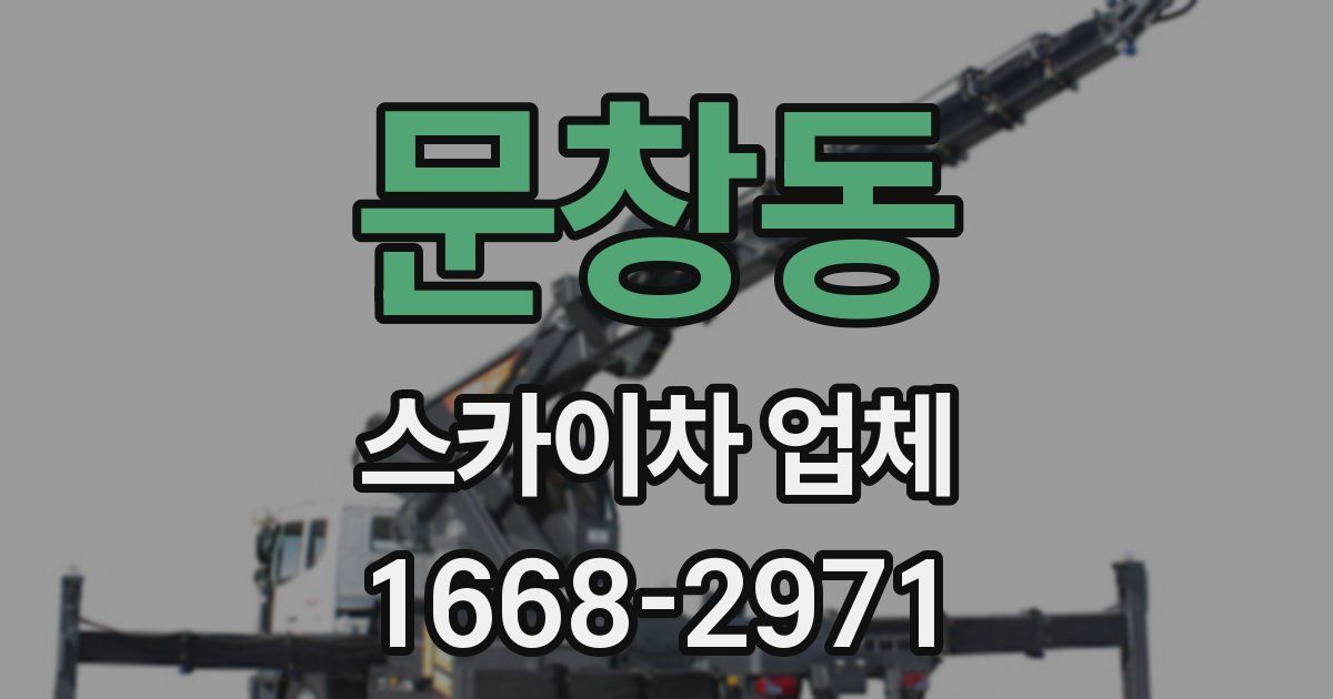 문창동 스카이차 업체