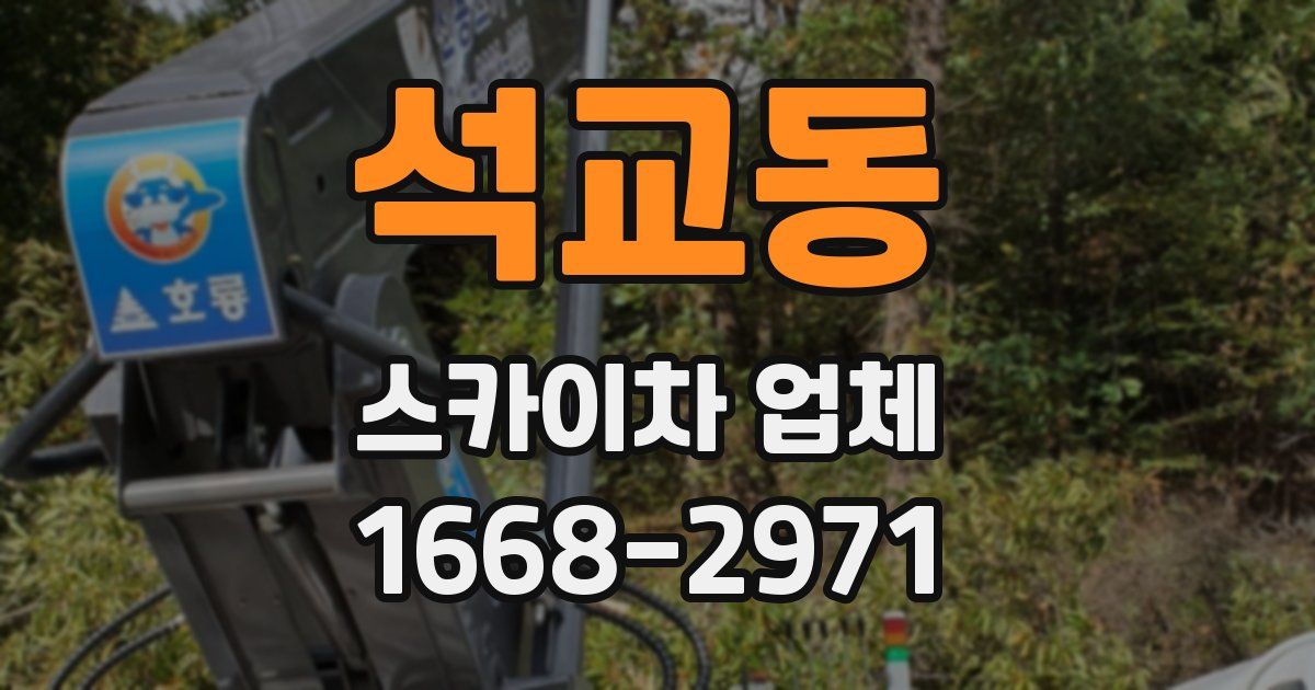 석교동 스카이차 업체
