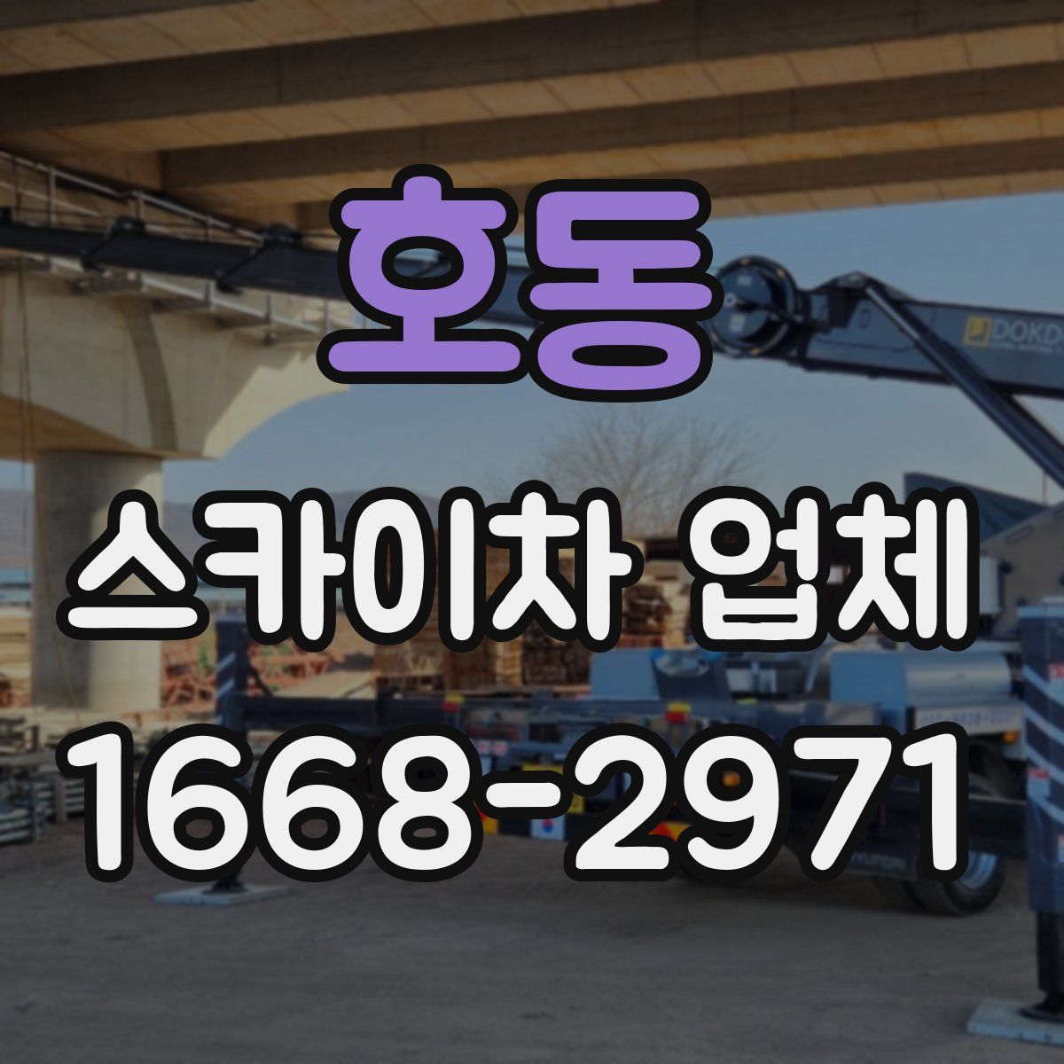 호동 스카이차 업체