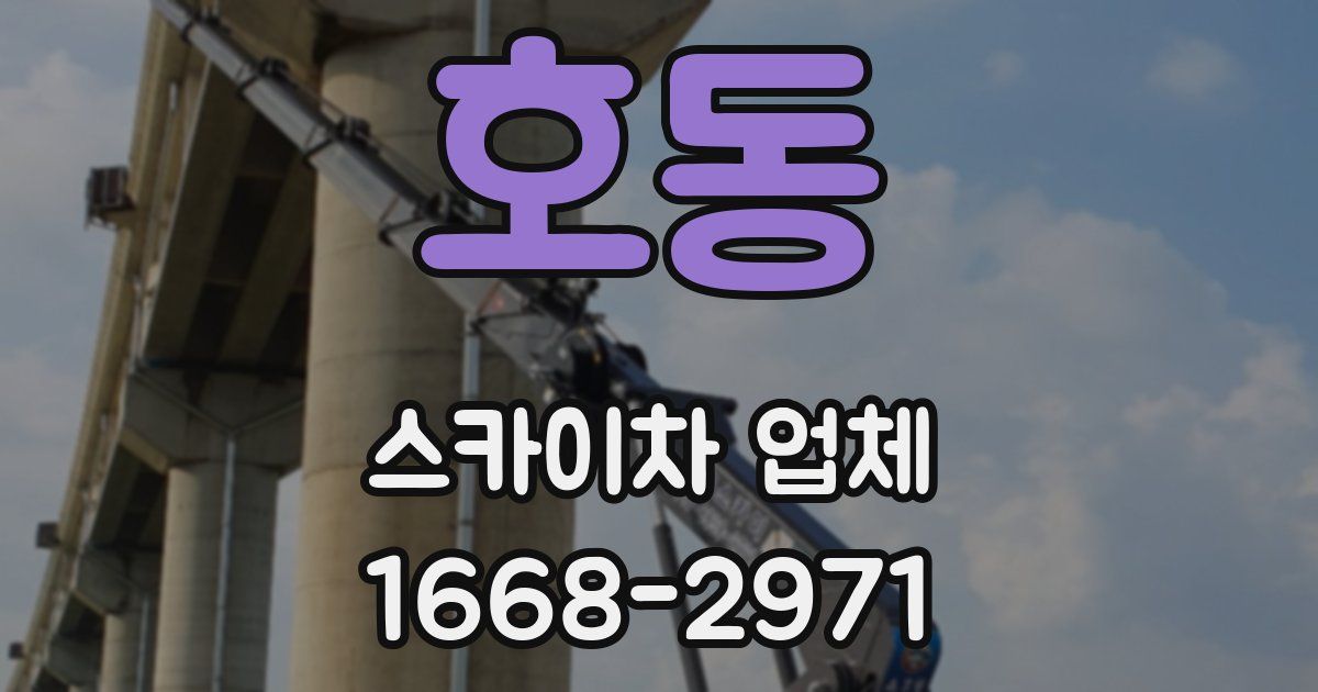 호동 스카이차 업체