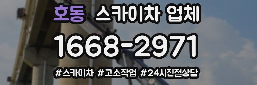 호동 스카이차 업체
