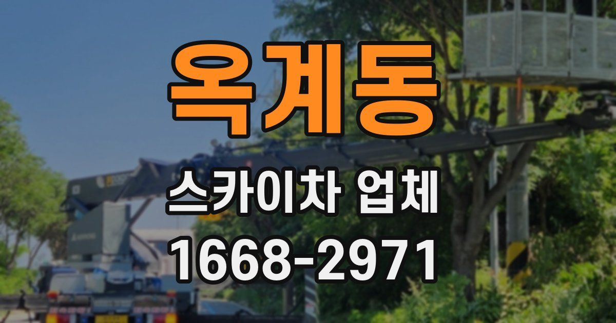 옥계동 스카이차 업체