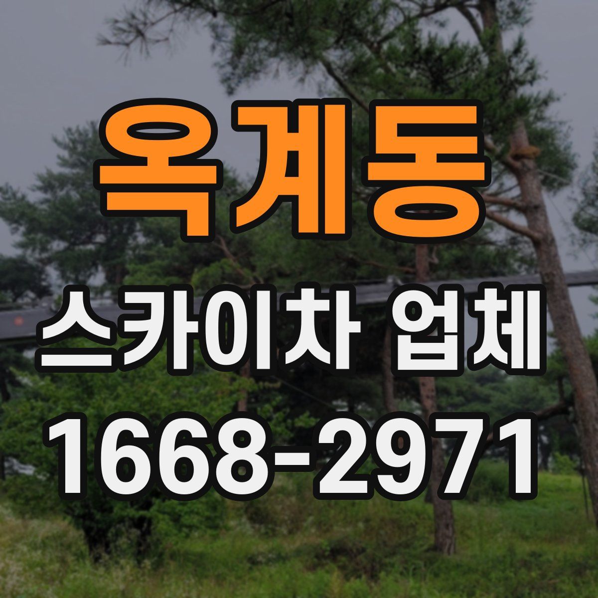 옥계동 스카이차 업체