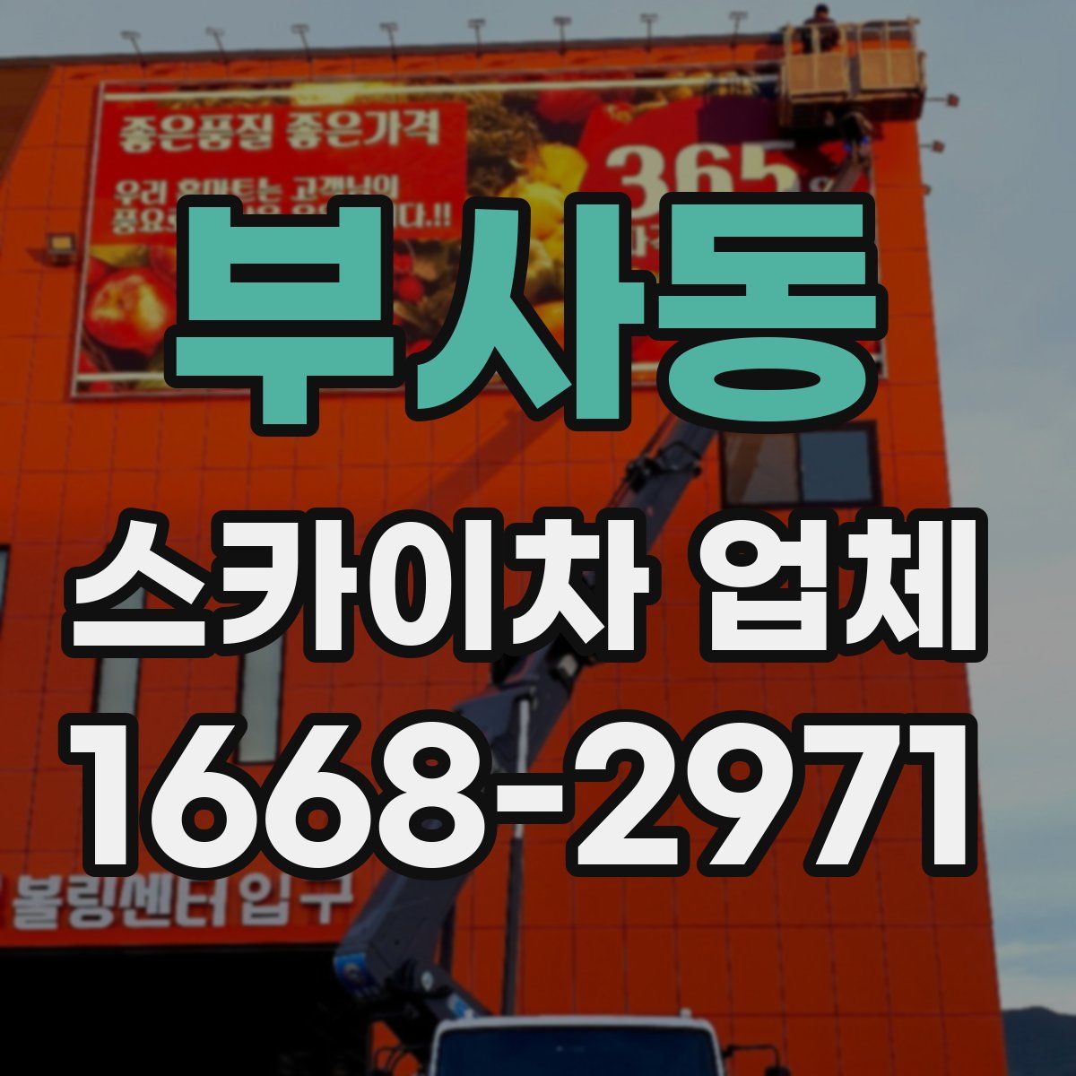 부사동 스카이차 업체