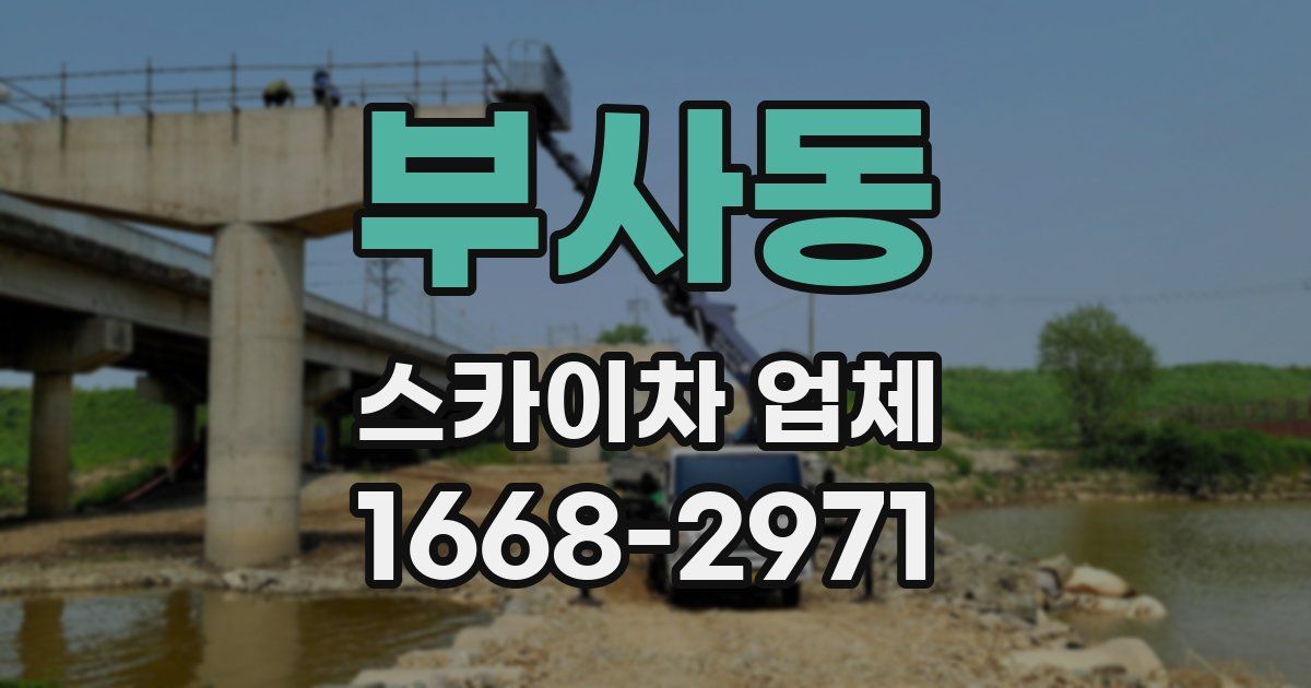 부사동 스카이차 업체
