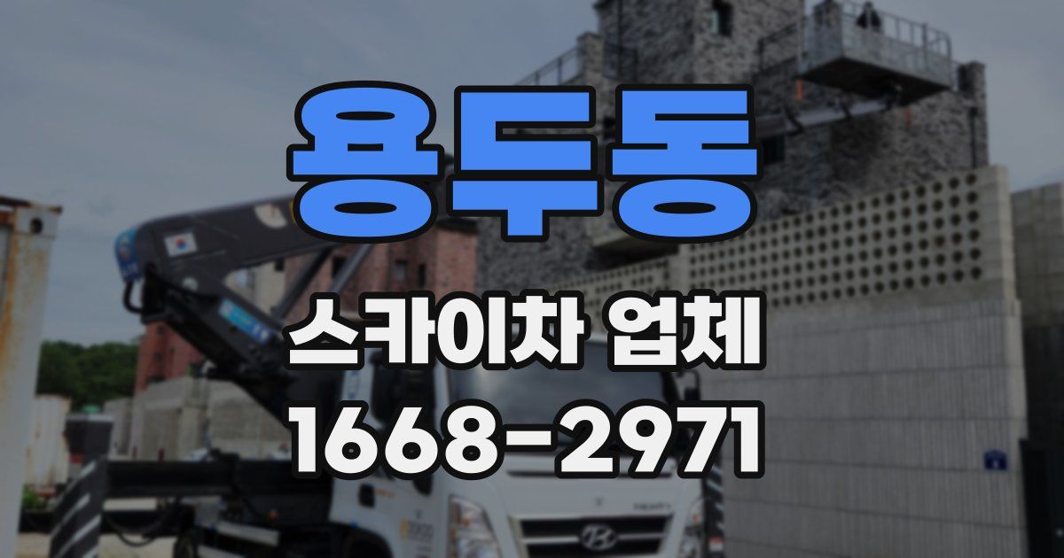 용두동 스카이차 업체