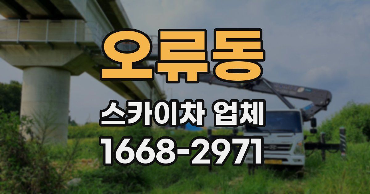 오류동 스카이차 업체