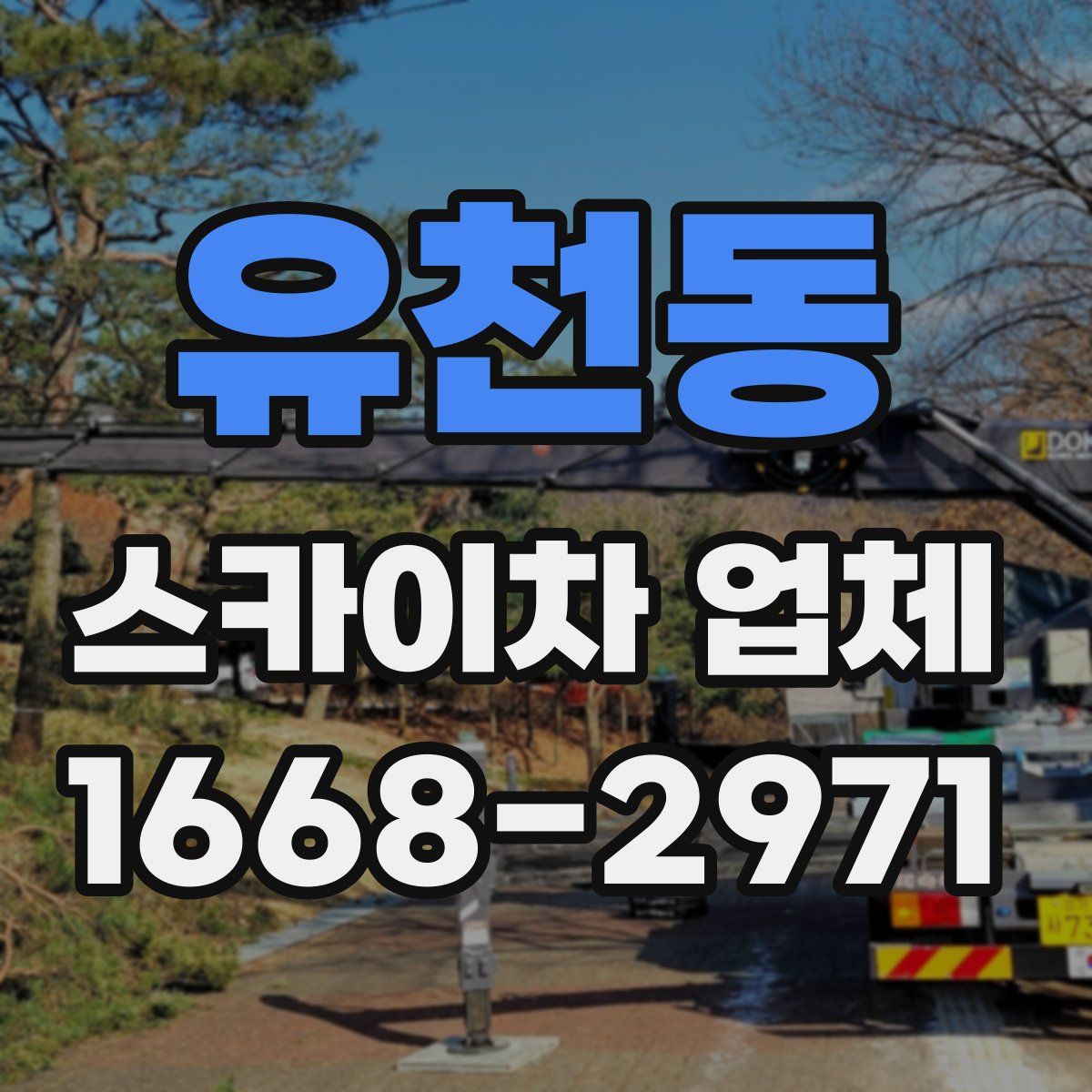 유천동 스카이차 업체
