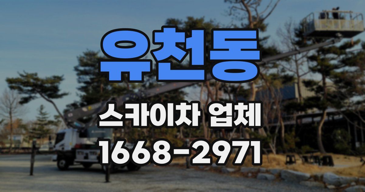 유천동 스카이차 업체