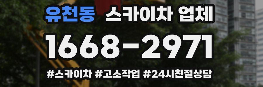 유천동 스카이차 업체