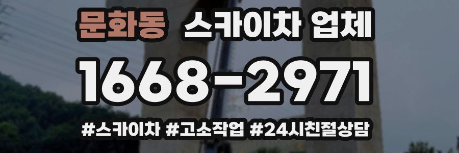 문화동 스카이차 업체
