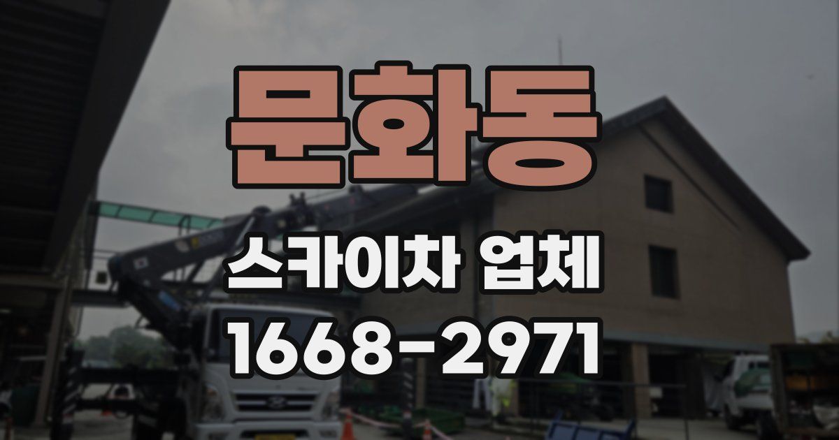 문화동 스카이차 업체