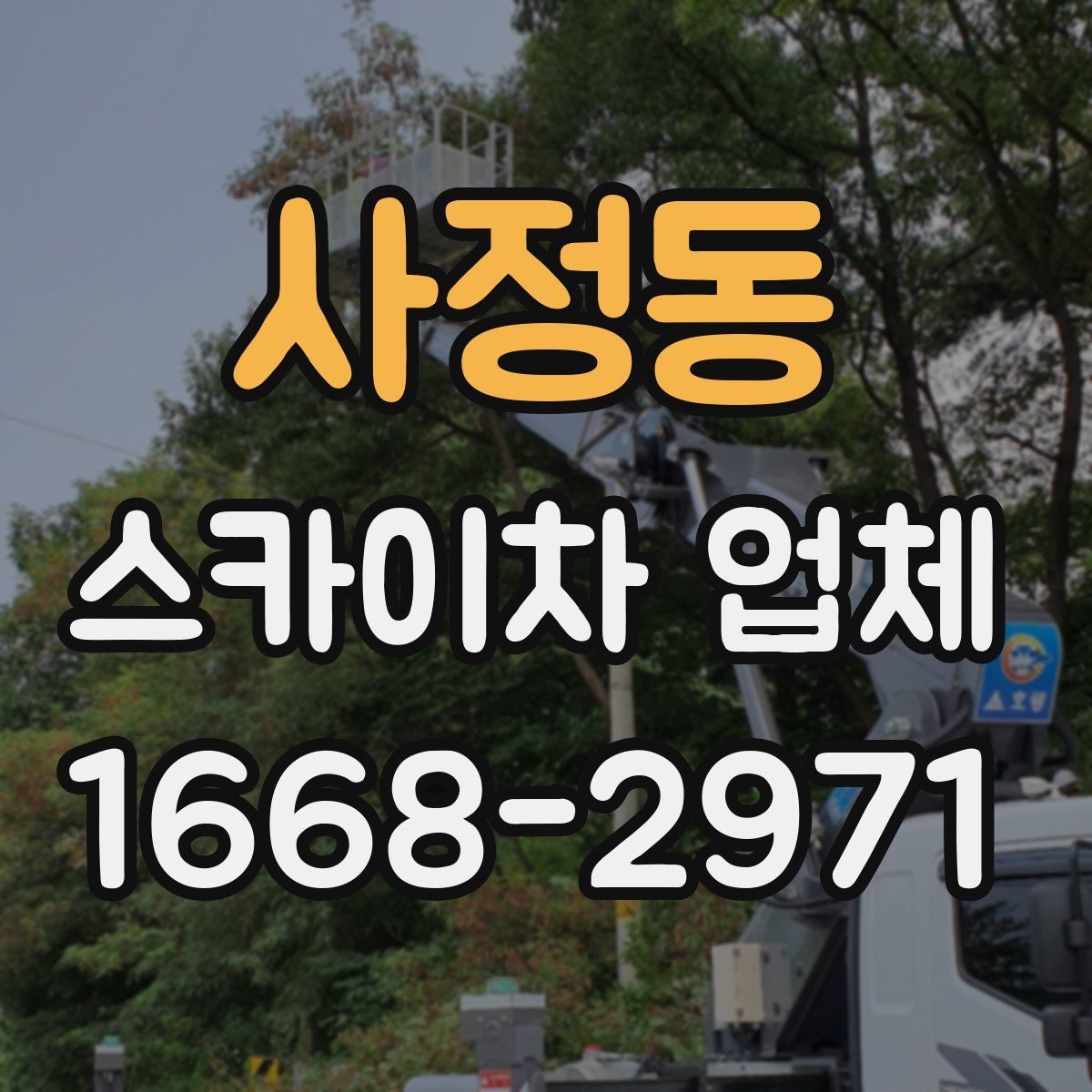 사정동 스카이차 업체