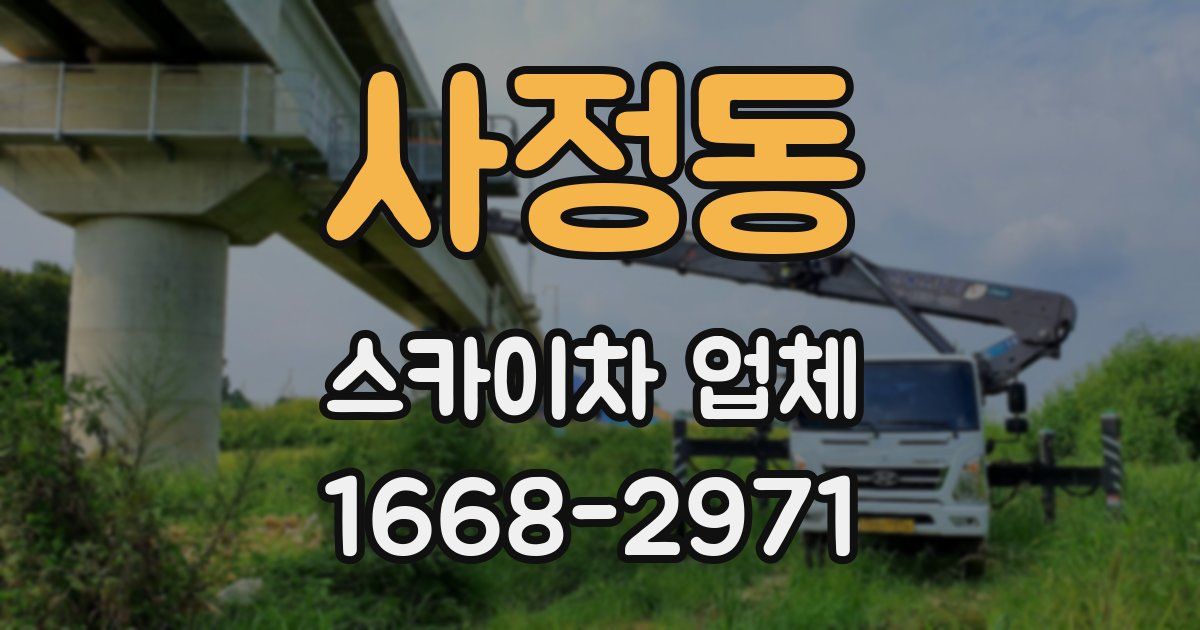 사정동 스카이차 업체