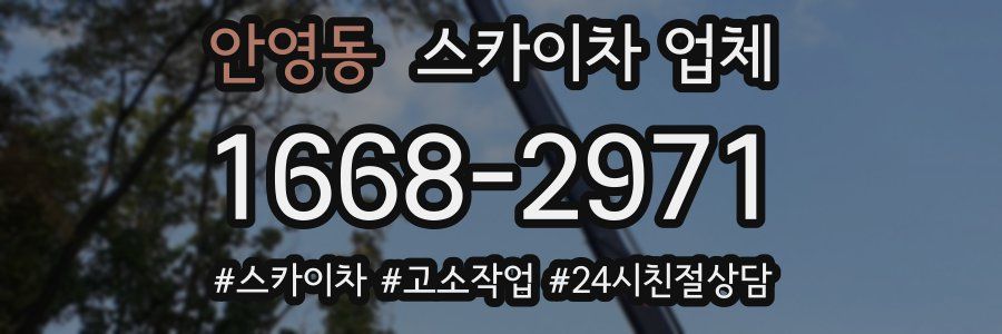 안영동 스카이차 업체