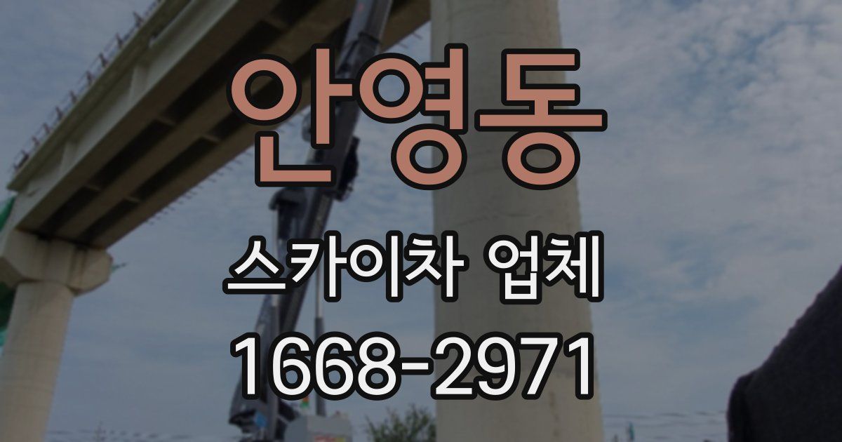 안영동 스카이차 업체