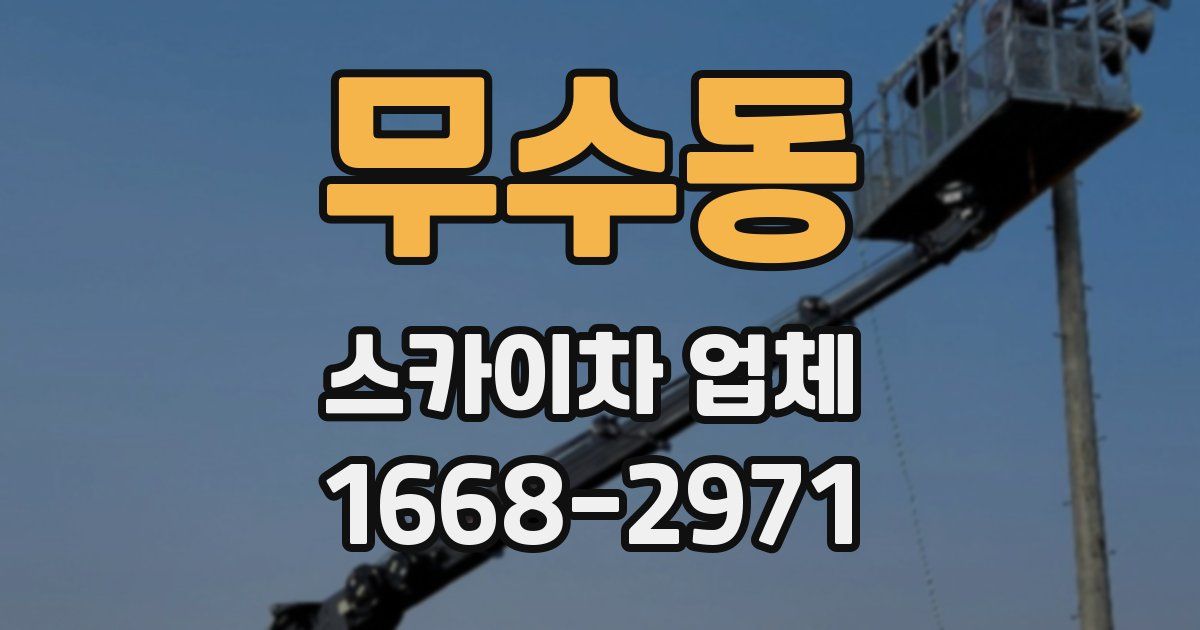 무수동 스카이차 업체