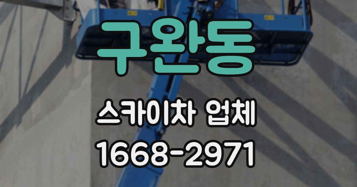 구완동 스카이차 업체