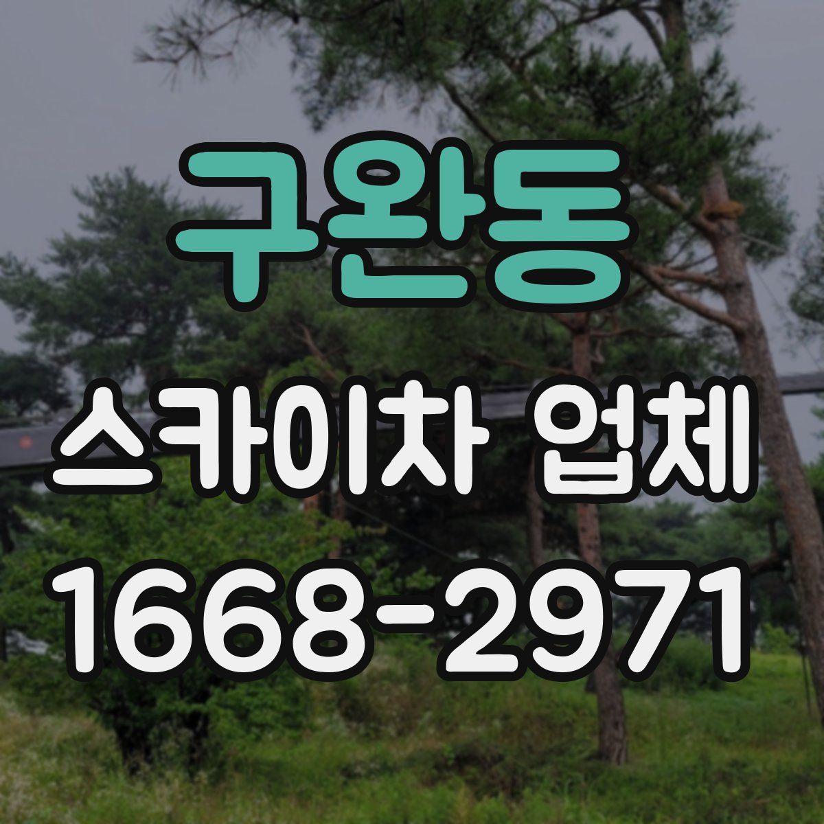 구완동 스카이차 업체