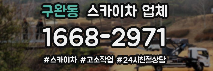 구완동 스카이차 업체