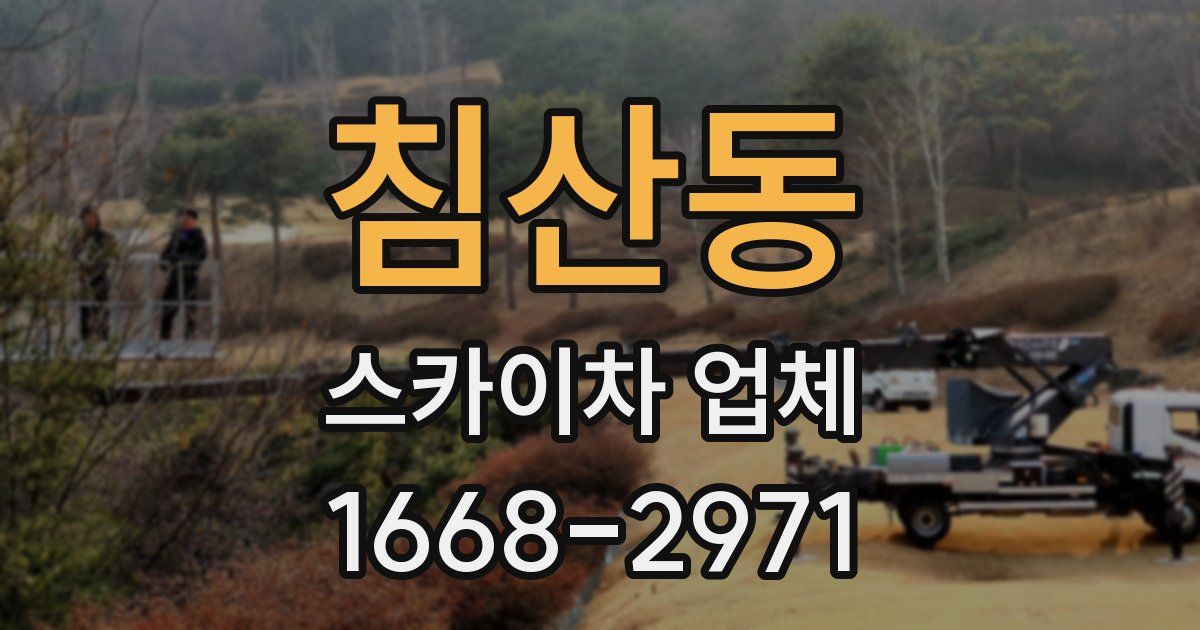 침산동 스카이차 업체