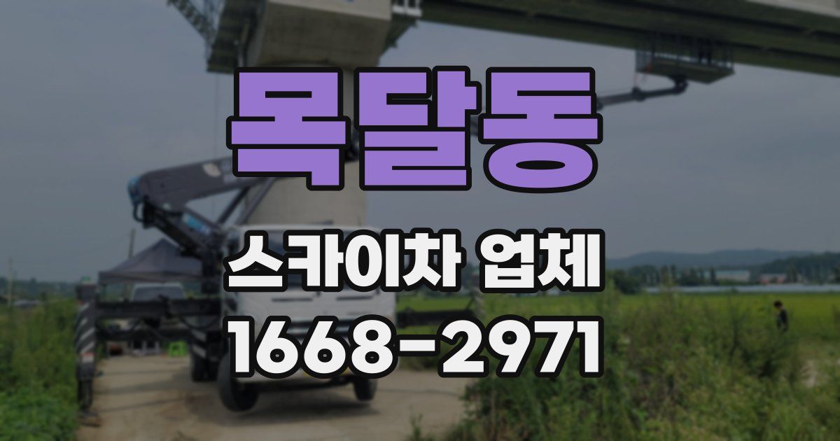 목달동 스카이차 업체
