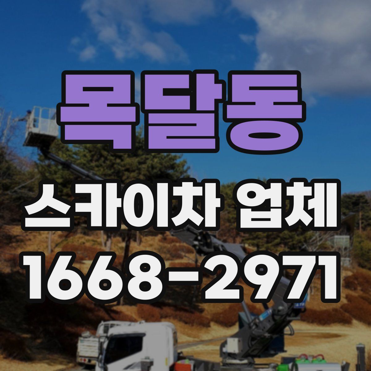 목달동 스카이차 업체