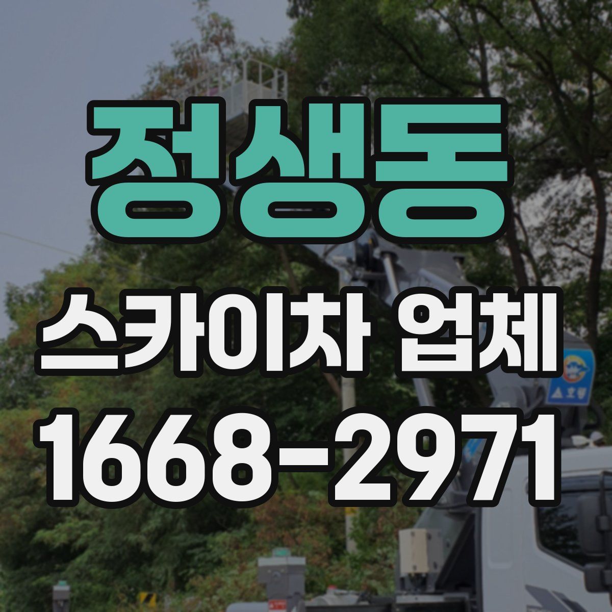 정생동 스카이차 업체