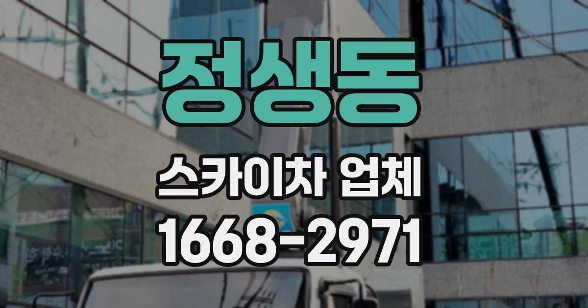 정생동 스카이차 업체
