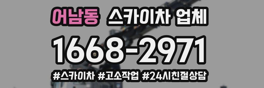 어남동 스카이차 업체