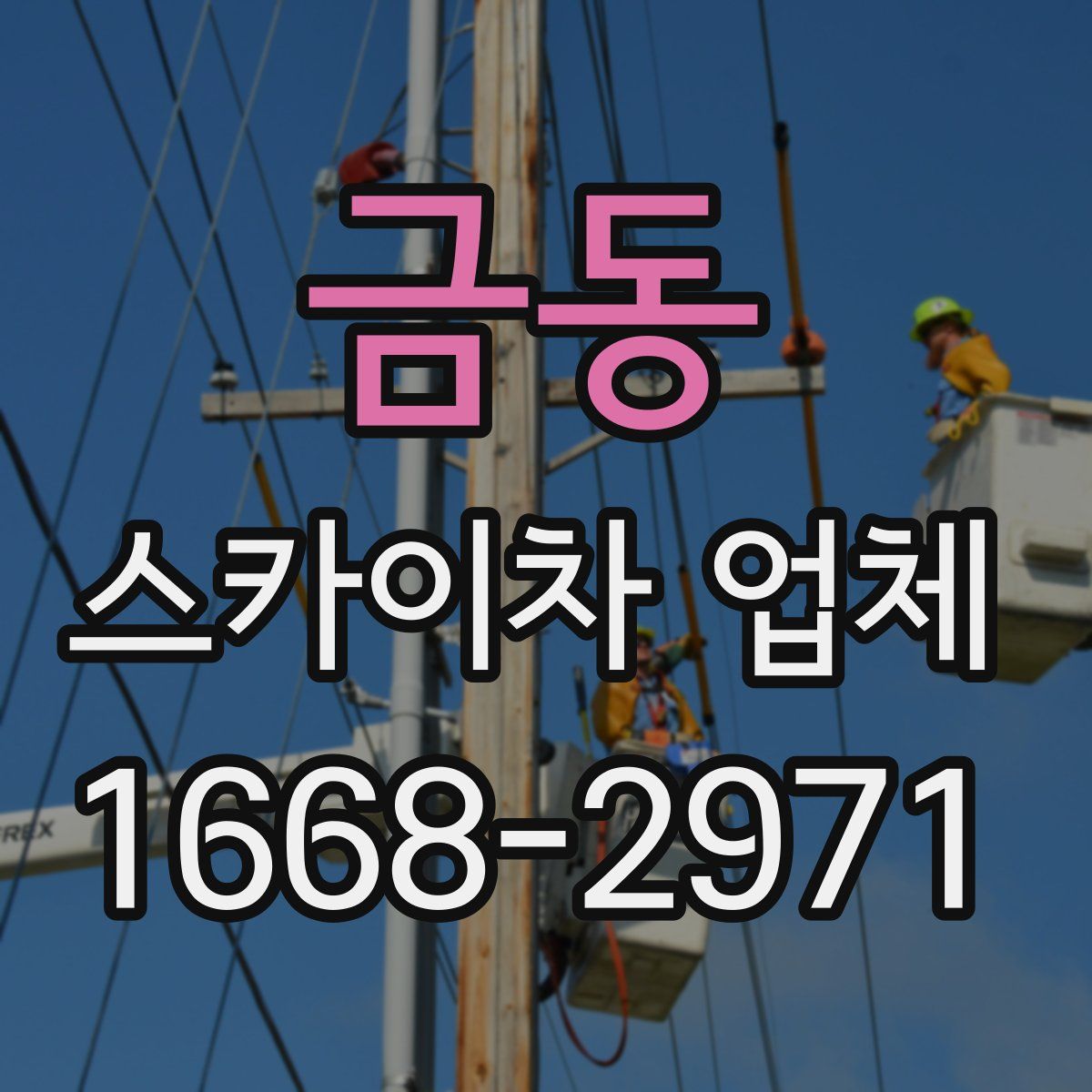 금동 스카이차 업체