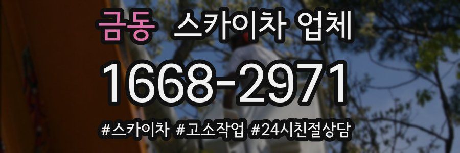 금동 스카이차 업체