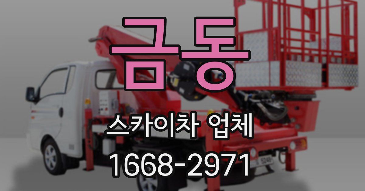 금동 스카이차 업체